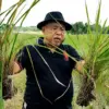 gagal panen