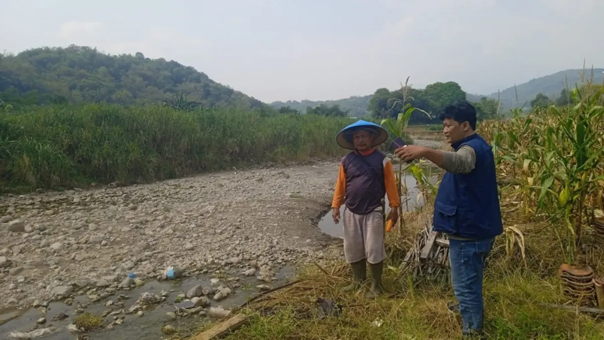 Abrasi Sungai di Cibodas Kian Mengkhawatirkan, Lahan Pertanian Tergerus 10 Meter Abrasi di bantaran sungai Desa Cibodas,