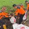Kelompok Tani Hutan (KTH) Paguyuban Silihwangi Majakuning yang menerjunkan 50 anggotanya