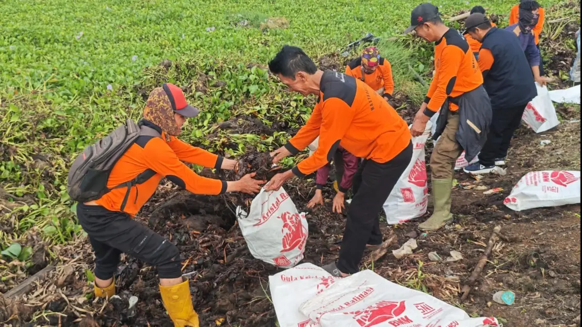 KTH Paguyuban Silihwangi Majakuning Bersihkan Eceng Gondok Waduk Darma Kelompok Tani Hutan (KTH) Paguyuban Silihwangi Majakuning yang menerjunkan 50 anggotanya