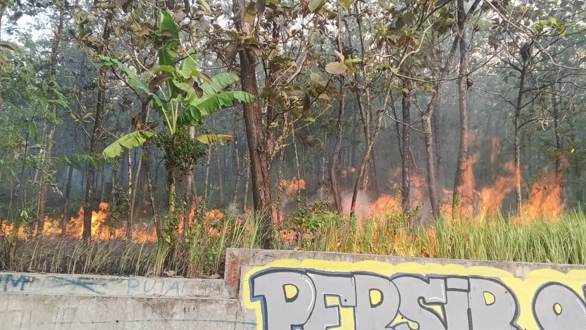 Kebakaran Lahan Hanguskan Dua Hektare Kebun Jati, Damkar Kuningan Bergerak Cepat Ist/UPT Damkar Kuningan