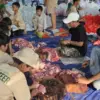 Aktivitas Masjid Miftahul Jannah Pelopori Kurban Digital
