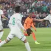 Timnas Belanda