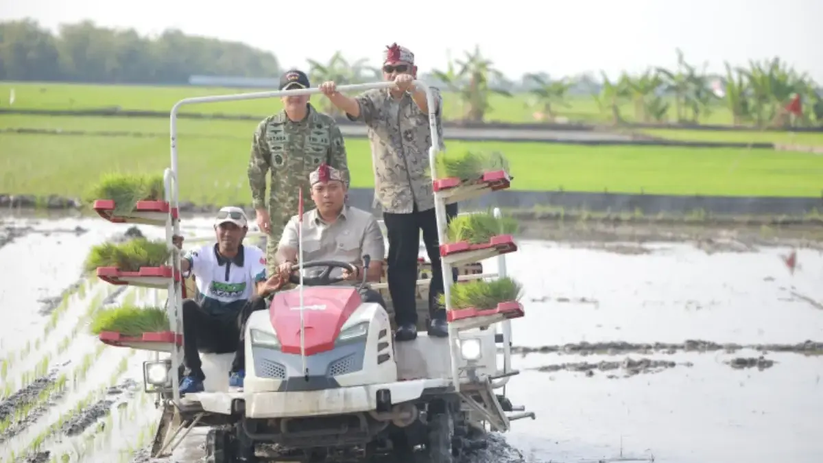 Hadapi El Nino, Wakil Menteri Pertanian Sudaryono Tegaskan Stok Beras Aman Wakil Menteri Pertanian Sudaryono Tegaskan Stok Beras Aman