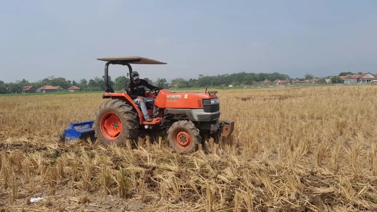 Targetkan Produktivitas Padi Naik hingga 13 Ton program PMAAS