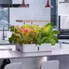 AZKO