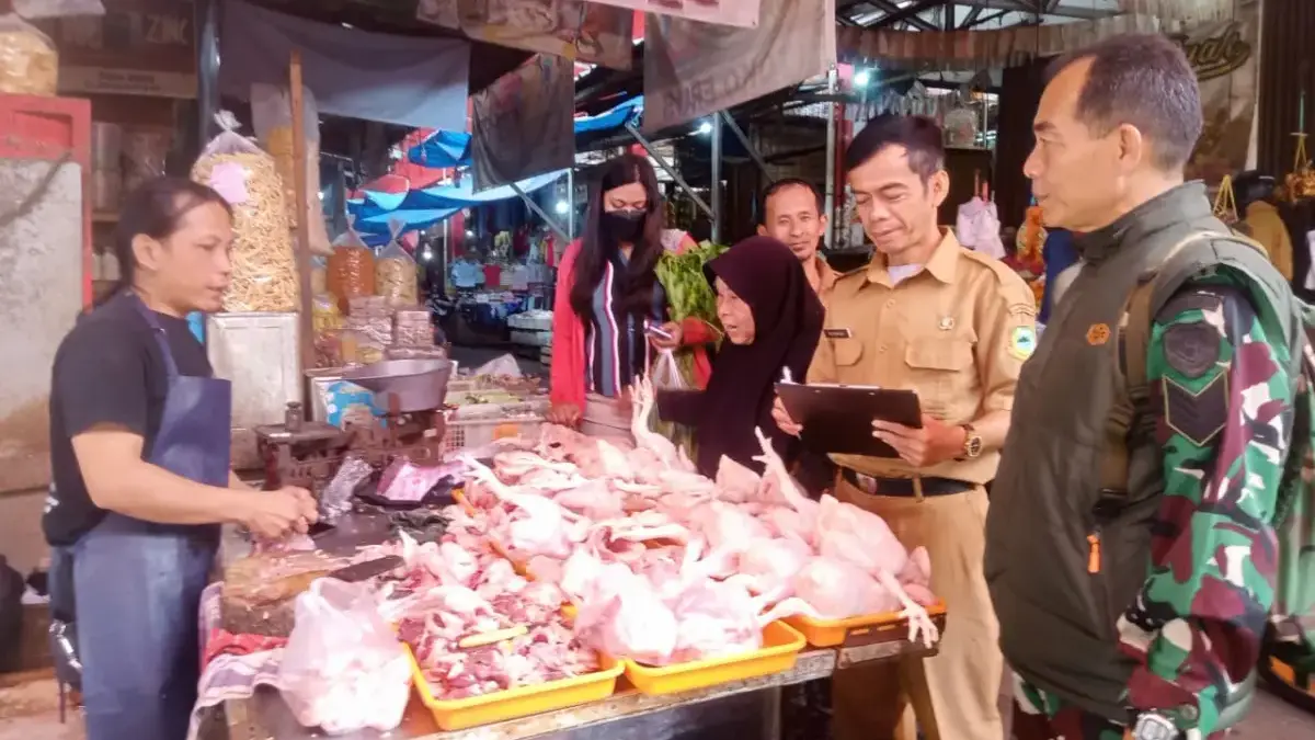 Libur MBG Bikin Harga Kebutuhan Pokok Seperti Ayam dan Telur Ikut Turun Libur MBG Bikin Harga Kebutuhan Pokok Seperti Ayam dan Telur Ikut Turun