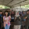 PT Eka Naga.jpg