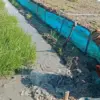 Petani indramayu kekeringan