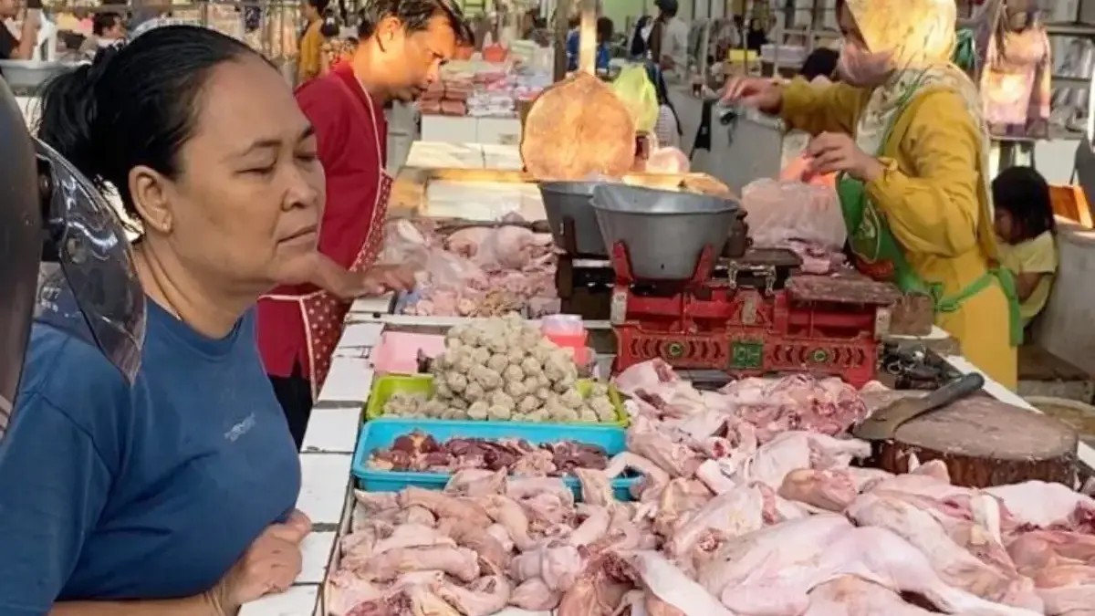 Masuk Tahun Ajaran Baru, Harga Ayam dan Minyak Goreng Curah Naik Harga ayam potong naik