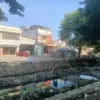 Penataan Hilir Kalibaru Masih Menanti Anggaran