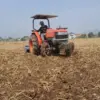 sawah yang tandus
