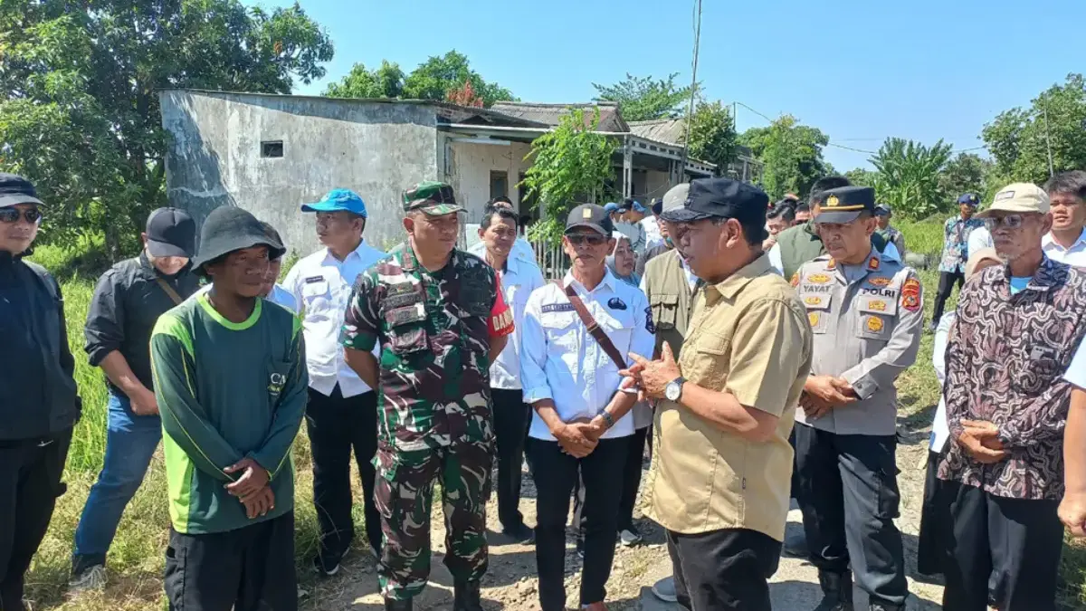 Kekeringan, 72 Hektare Sawah di Panyingkiran Gagal Panen gagal panen majalengka