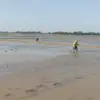 petani indramayu kesulitan air