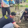 Tanam pohon di Karangsong