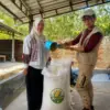 Bina 180 Petani, Kirim Perdana 2 Ton Tepung Jagung ke Cirebon