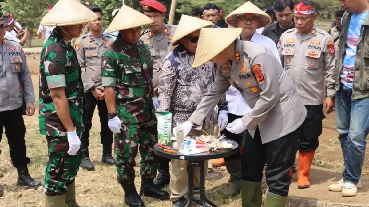 Turun ke Sawah, Polres Kuningan Gerakkan Tanam Bawang Putih Polres Kuningan bersama Dinas Ketahanan Pangan dan Pertanian Kabupaten Kuningan