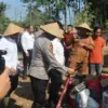 Kapolda tanam bawang putih