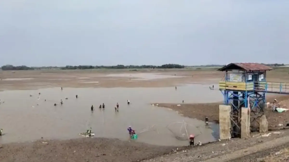 Debit Air Waduk Cipancuh Menyusut, Ratusan Warga Ramai-Ramai Tangkap Ikan Waduk Cipancuh