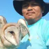 Tawin saat menyelamatkan burung hantu