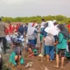 cegah abrasi indramayu
