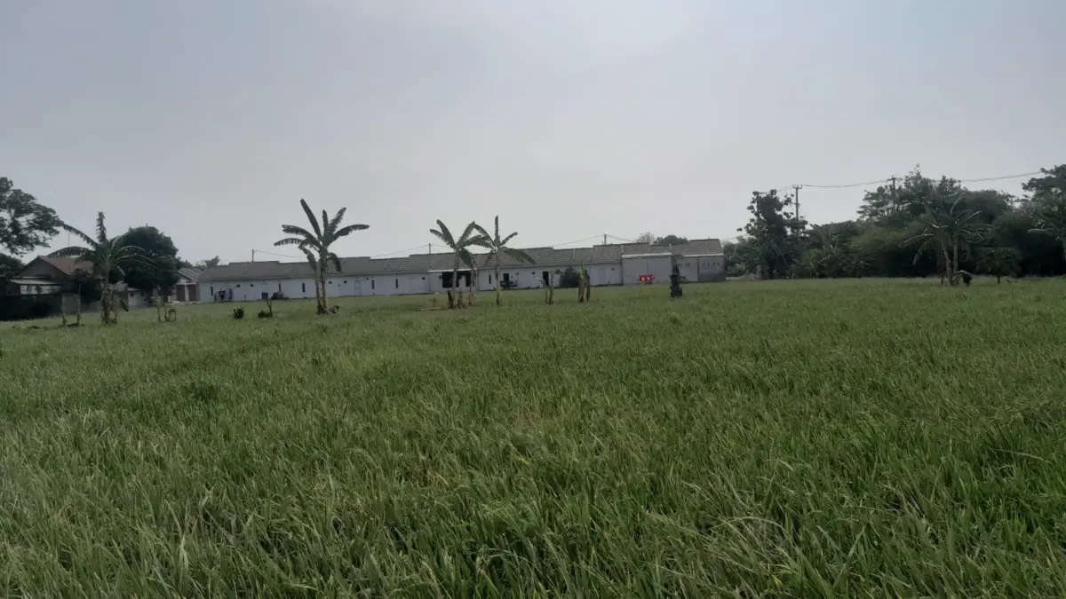 Sawah Produktif Terus Tergerus, SPI Cirebon Soroti Ancaman Ketahanan Pangan sawah produktif