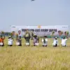 panen perdana indramayu