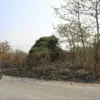 Lahan terbakar