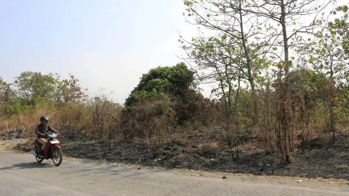 Musim Kemarau, Waspadai Kekeringan dan Kebakaran Lahan terbakar