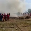 Damkar Indramayu padamkan kebakaran lahan