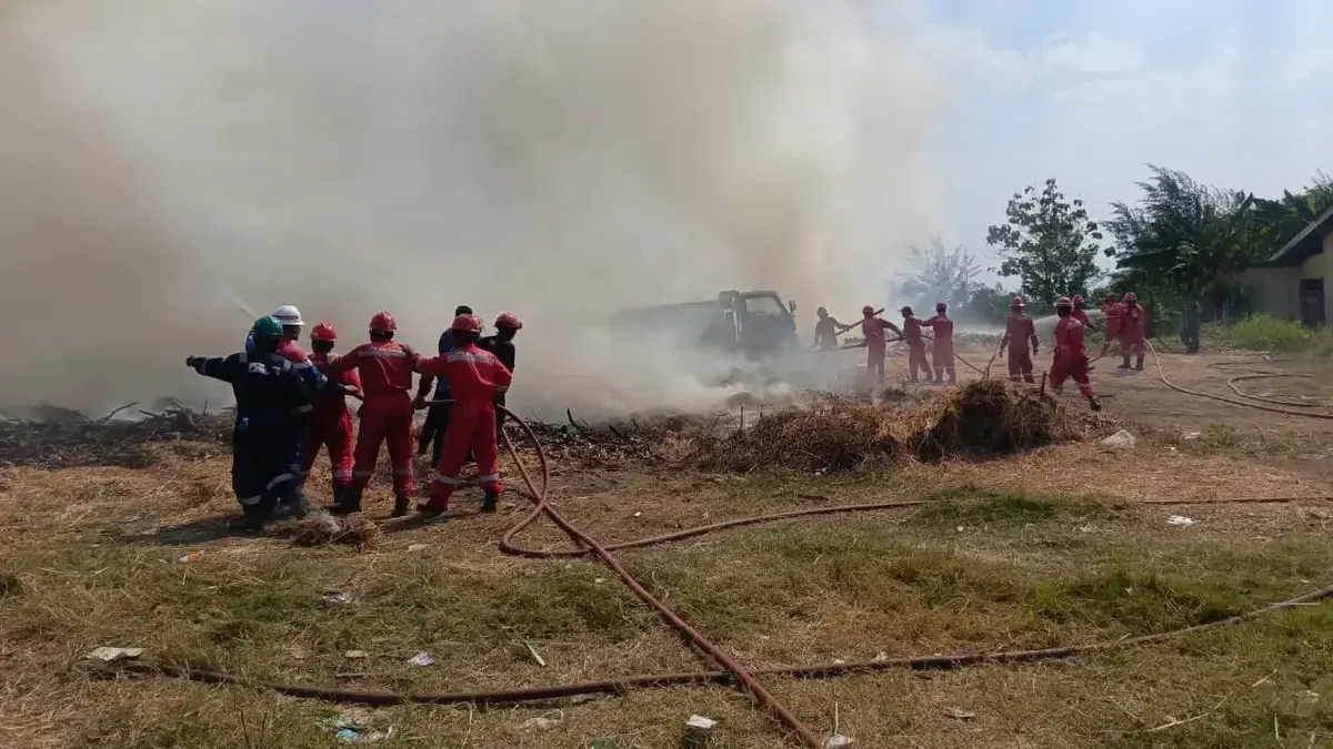 Sehari, Damkar Indramayu Tangani Tiga Kebakaran Damkar Indramayu padamkan kebakaran lahan