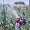 Damkar Indramayu berupaya memadamkan api di wilayah Hutan Kota Kayu Putih,