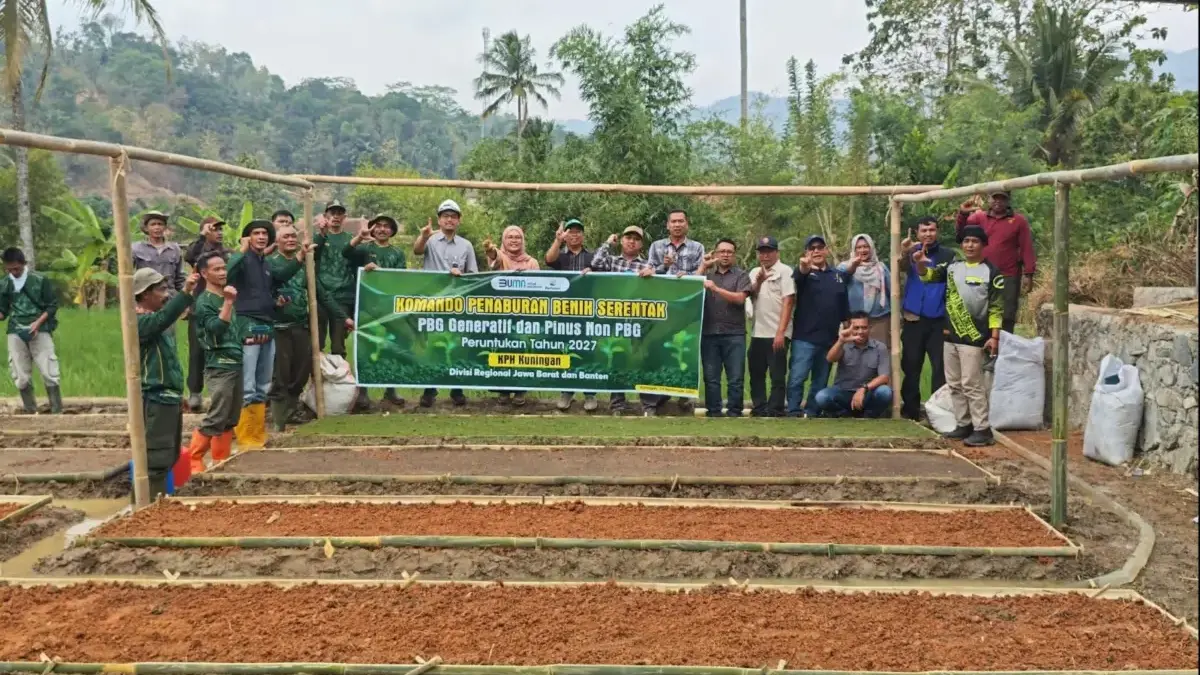 Komando Penaburan Benih Serentak 2026, Perhutani KPH Kuningan Targetkan 76 Ribu Bibit Pinus 