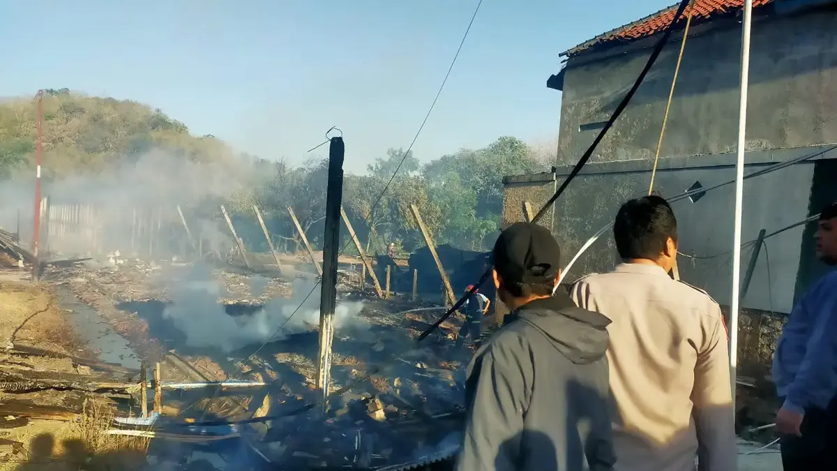 Kandang Ayam Terbakar, 18 Ribu Ekor DOC Terpanggang, Kerugian Capai Rp2 Miliar Kandang ayam di Desa Kulur, terbakar