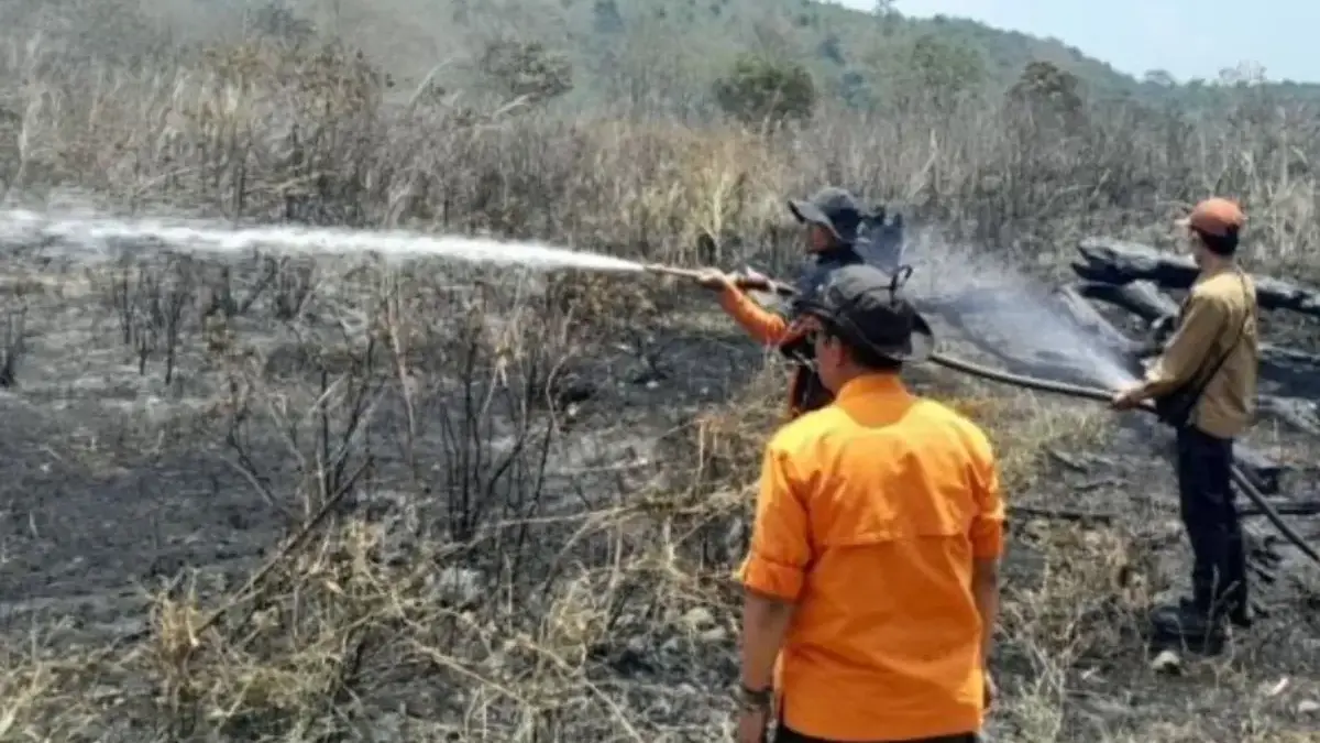 Lahan 3,5 Hektare di Kawasan TNGC Kuningan Kebakaran Karhutla kembali terjadi di kawasan sekitar Taman Nasional Gunung Ciremai TNGC