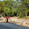 Pohon Kawasan Bima