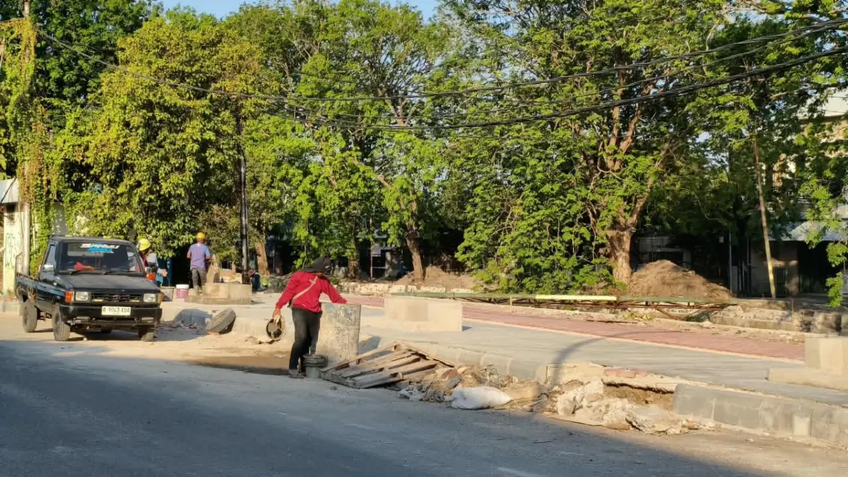 38 Pohon Tumbang Selama Kemarau - Angin Kencang di Kota Cirebon Pohon Kawasan Bima