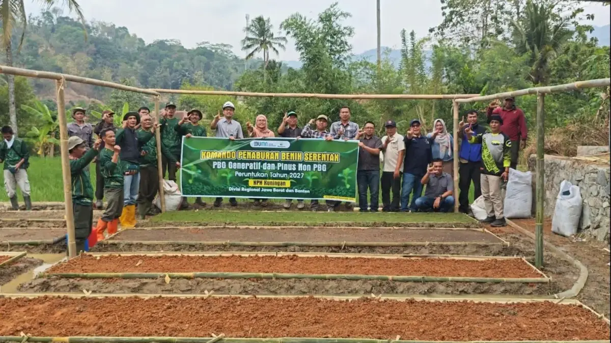 Komando Penaburan Benih Serentak 2026, Perhutani KPH Kuningan Targetkan 76 Ribu Bibit Pinus Ist