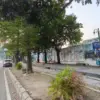 Taman Pajak