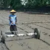 Petani proses penyemaian