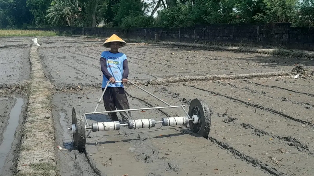Dinas Pertanian Cirebon Perluas Penerapan Tanam Padi Program PMAAS Petani proses penyemaian