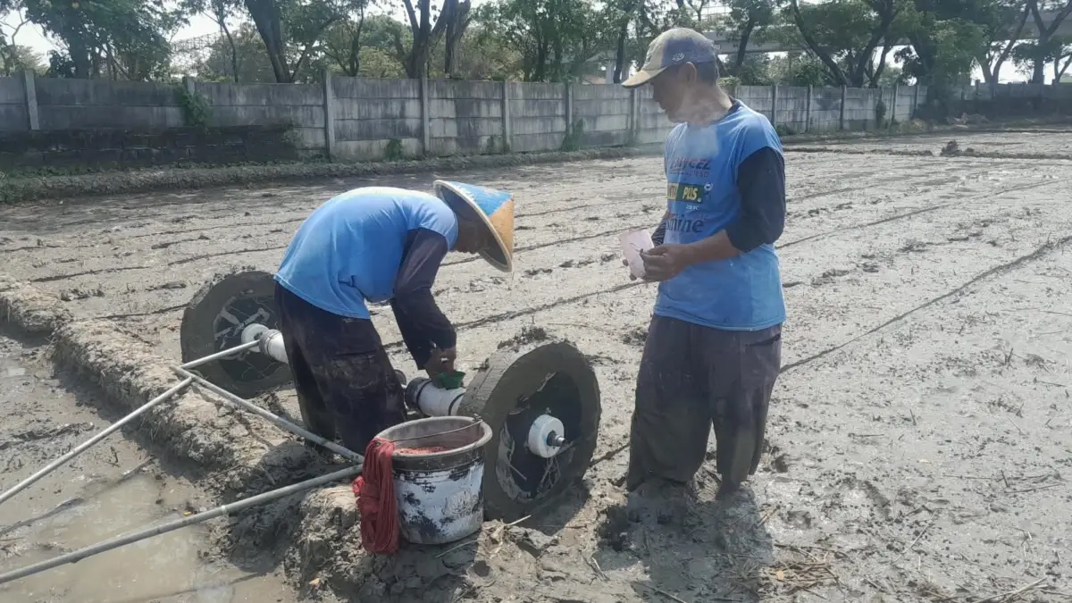 Bidik Tambahan Pendapatan dari Musim Tanam Ketiga musim tanam ketiga