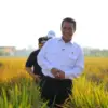 KEMENTAN