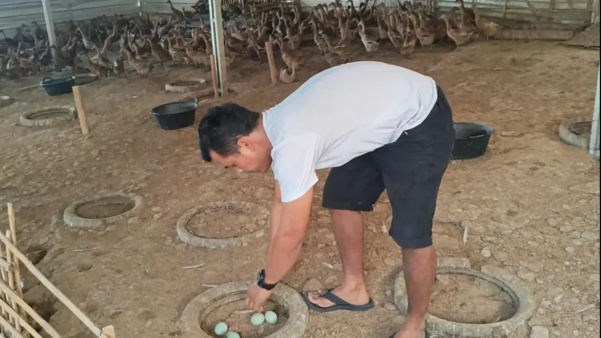 Direktur Bumdes Jagaraksa Hermawan,