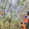 Karhutla Hutan Cipanas