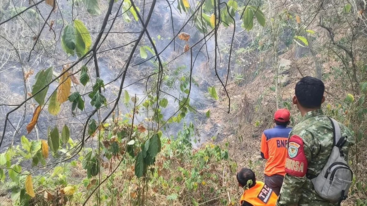 Karhutla Hutan Cipanas