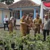 Pemkab Majalengka meluncurkan program Penanaman Cabai Pekarangan Berdaya (Penca Perdaya)