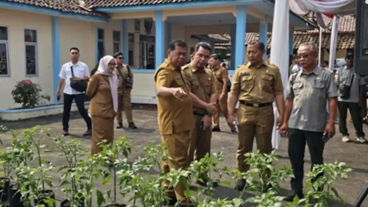 Luncurkan Penca Perdaya, Pemkab Majalengka Ajak Warga Tanam Cabai di Pekarangan Pemkab Majalengka meluncurkan program Penanaman Cabai Pekarangan Berdaya (Penca Perdaya)
