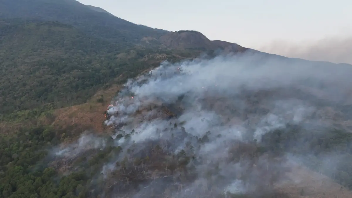 Karhutla Gunung Ciremai