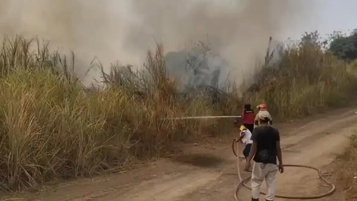 Disdamkarmat Imbau Warga Waspadai Kebakaran Lahan Petugas dari Damkar berjibaku untuk memadamkan api yang membakar lahan di Bukit Kemelak,